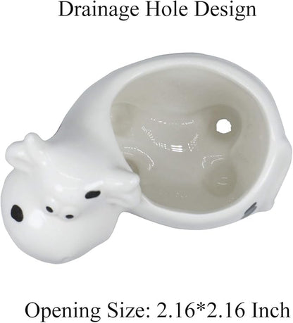 Cute Cow Succulent Planter Pot with Drainage Tray, Small White Ceramic Cactus Flower Container, Animal Shaped Indoor Air Plants Holder