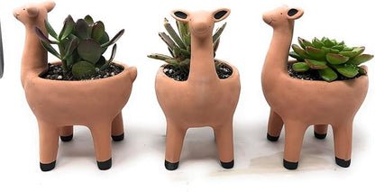 Cute Llama Planter in Terracotta Color for Succulent Cactus Small House Plants 3.25 Inch Indoor Outdoor Planter