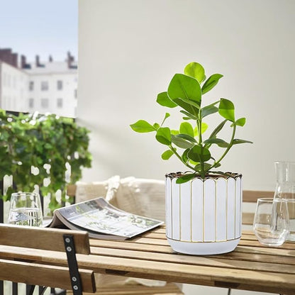 Ceramic Plants Pot 6.2+5.3 Inch Petal-Shaped Rim Pots Set of 2 for for Indoor Outdoor Succulent Plants or Flowers Gold and White
