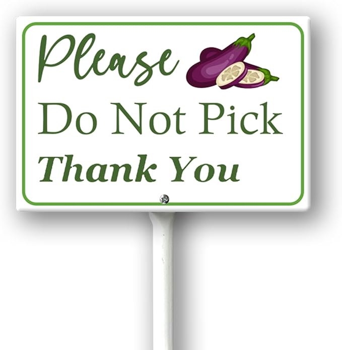 Boylee (8X12) IN Please Do Not Pick Eggplant Thank You Yard Sign With Stake Rustproof Aluminum Fruit Vegetable Signs Stand for Home Orchard Garden Outdoor Decoration