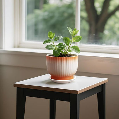 6.7 + 5.5 Inch Ceramic Plant Pots,Planters with Drainage and Saucer,Indoor Pots for Plants,Modern Flower Pots for Home and Office（Orange + White）