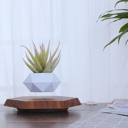 MOOCCI Floating Plant Pot Magnetic Levitating Plant Pot for Succulents, Air Bonsai and Fake Flowers and Plants, Unique Decor for Home, Office and Desk, Father's Day (Brown)