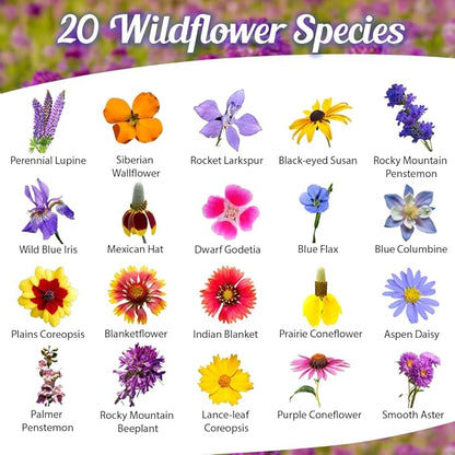 Rocky Mountain Wildflower Seed Mix 1oz - Premium Wildflower Seed Mix for High Mountain Elevations 1 oz