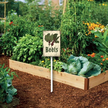Uptell Vintage Vegetable Signs for Garden with Stake Beets Yard Sign Vegetable Garden Label Stakes Plant Markers for Outdoor Plants Waterproof 8.8x7inch