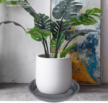 6 Pack of Plant Saucer 16 Inch, Plant Tray Round, Plastic Flower Plant Trays for Pots, Plant Saucers for Indoors 16", Plant Pot Saucers, Planter Tray for Planter 13-16" (16", Gray)