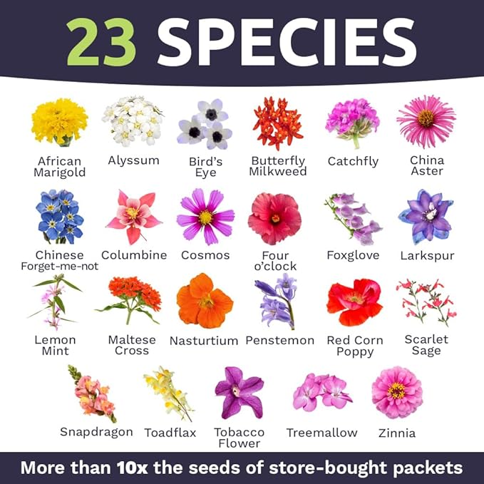 Bulk Wildflower Seeds Butterfly and Hummingbird Mix - 1 Pound Bag - Over 120,000 Open Pollinated Annual and Perennial Seeds