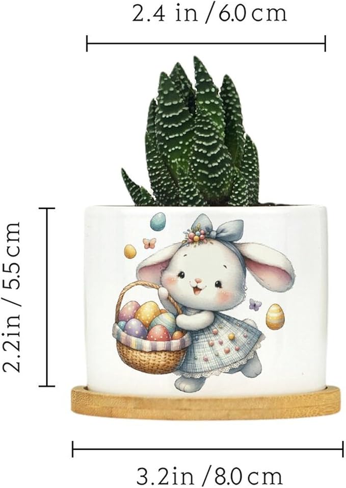 DreamAutumn Easter Bunny Flower Basket Ceramic Planters Ceramic Pots with Saucers Orchid Pots for Plants Succulents Pots Office Desk Garden Balconys New Home Decor,Gifts for Mom Mother Grandmother