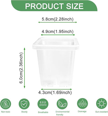 2 Inch Square Plant Nursery Pots (Black+Clear),50Pcs Seedling Planter Seed Starter Pots,Sturdy Small Plastic Pots with Drainage Holes