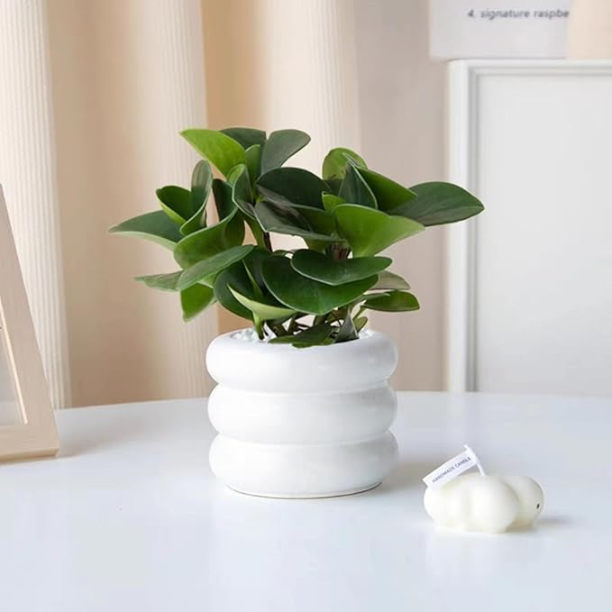 Ceramic Plant Pot Indoor, 4.5 Inch Flower Pot with Drainage Hole, Small Bubble Design Ceramic Planter for Home & Office Decor (White)