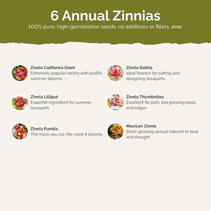 Eden Brothers Zin Master Flower Mixed Seeds for Planting, 5 lb, 2,400,000+ Seeds with California Giant, Mexican, Lilliput Zinnia | Attracts Pollinators, Plant in Spring, Zones 3, 4, 5, 6, 7, 8, 9, 10