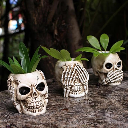 YYW Skull Planter Pot Set of 3 Succulents Pot Halloween Skeleton Sculpture Decor Resin Flowerpot for Home Office Desk Decorations