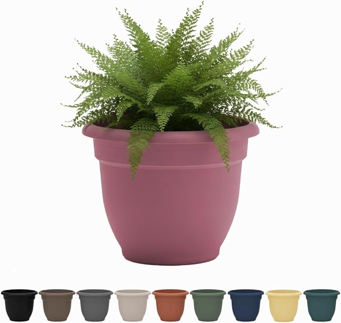 Bloem Ariana 6" Dusty Rose Round Self-Watering Resin Planter Pot - Rolled Rim Indoor and Outdoor Gardening Planter