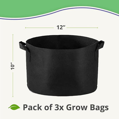 Seed Starting Soil Mix (24 Qts) - Coco Coir 650gm Bricks (2-Pack) + Perlite Bliss + 3 Gallon Grow Bags - Seed Starter Soil for Indoor Plants, Outdoor Plants, Seedlings - Organic Coco Coir Perlite Mix