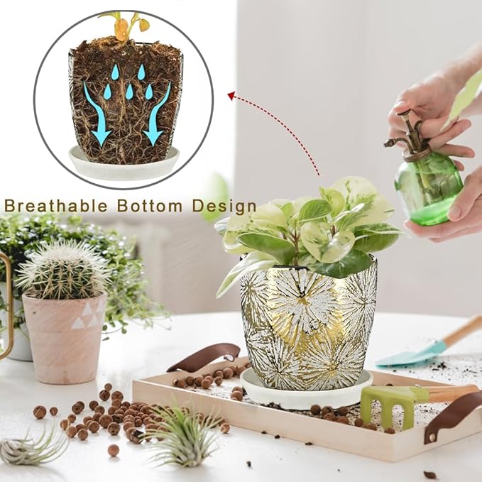 Oairse 6 +5 inch Ceramic Planter Pots Set of 2 Small Round Flower Pots with Drainage Hole and Ceramic Tray for Succulents Cactus Indoor Outdoor Garden Home Windowsill