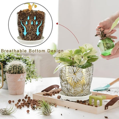 Oairse 6 +5 inch Ceramic Planter Pots Set of 2 Small Round Flower Pots with Drainage Hole and Ceramic Tray for Succulents Cactus Indoor Outdoor Garden Home Windowsill