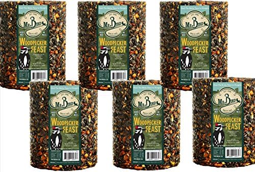 Mr. Bird Woodpecker Feast Birdseed Cylinder - Large 6" Diameter