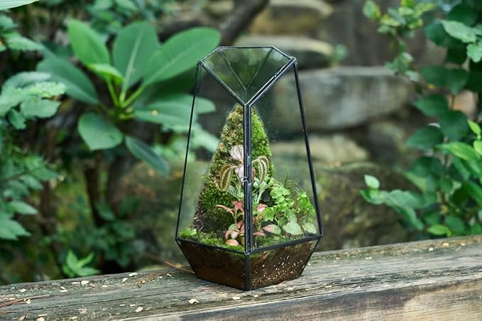 FISCRAT Tabletop Glass Terrarium -5"x5"x10.8" Black Metal Frame Indoor Plant Display Container with Openable Door, Low Maintenance Succulent Ecosystem, Space Saving Art Decor (Plants Not Included)