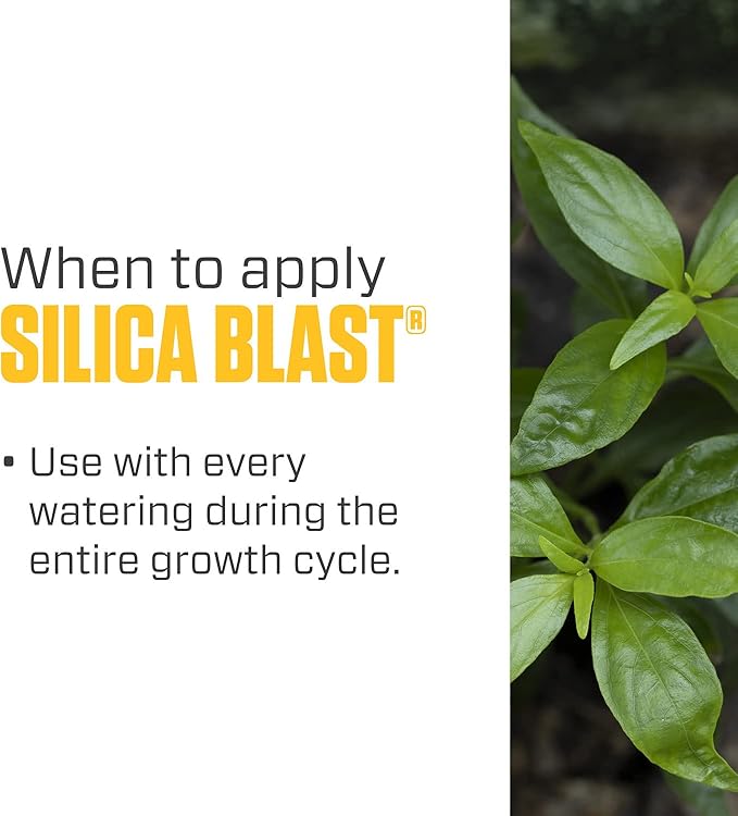 Botanicare Silica Blast, Plant Supplement, 0-0-0.5, 5 gal.