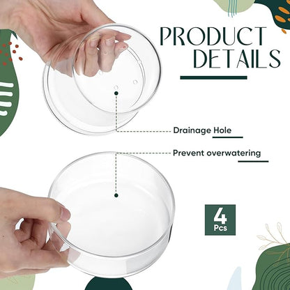 Baderke 4 Inch Glass Plant Pots with Saucer, Flower Nursery Plant Pots with Drainage for Flower Seed Starter Transparent Seedling (2 Sets)