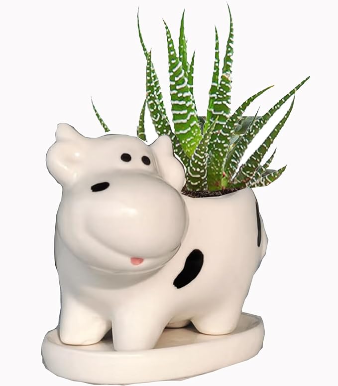 Ceramic Succulent Plant Pot Cactus Plant Pot Flower Pot Container Planter with Drainage Hole Home Office Desk Garden Gift Idea Animal Shaped Flower Pot Cute Vase Pot (White Cow)