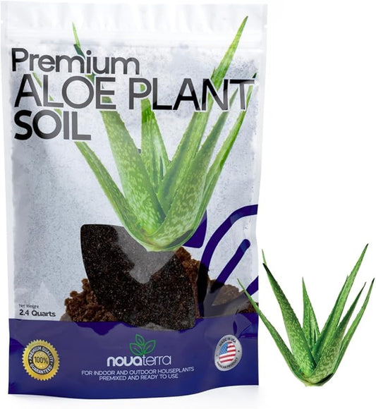 Potting Soil for Aloe Vera Plants Indoor Aloe Vera Plant Cactus Soil Potting Mix Aloe Vera Potting Mix Indoor Potted Aloe Plants Live Succulents Cactus Live Plants 2.4 Qts