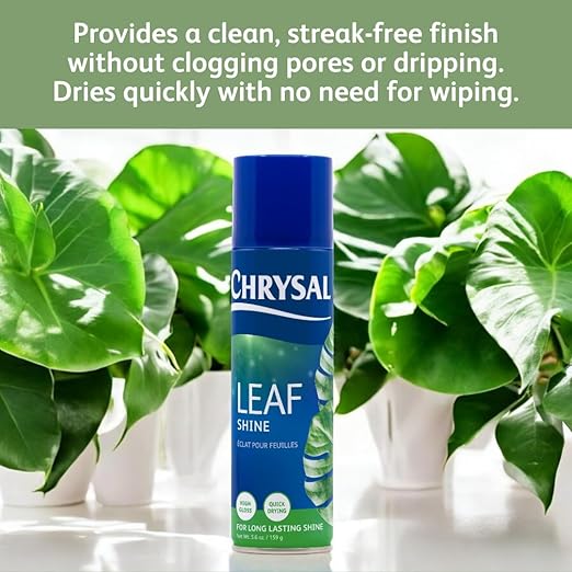 Chrysal Leafshine 5.6 oz (250 ml) Spray for Indoor Plants – Flower Arrangement Spray for Bouquets, House Plants & More – Environmentally Safe Dust Remover & Leaf Cleaner (3 Pack)