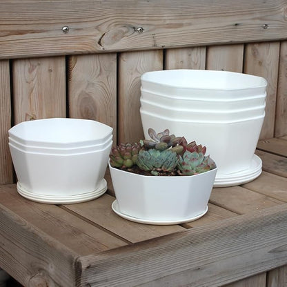 BangQiao 8 Pack 8.00 inch and 5.90 inch White Plastic Shallow Plant Pot, Octagon Bowl Planter Container with Pot Tray for Succulents, Cactus