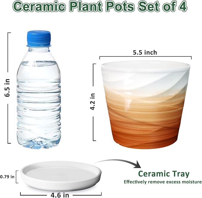 5 Inch Plant Pot,Ceramic Planter with Drainage and Saucer,Ceramic Pots for Plants,Indoor Plant pots,Planters for Indoor Plants(5.5 in Diameter,4 Pack)