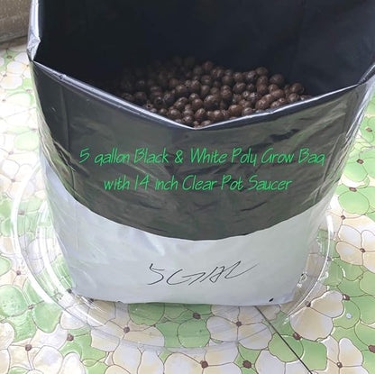 HORTIPOTS Clear Plant Saucer 14 inch Plastic Pot Saucers (Pack of 10) Actual Size is only 13 inch with Plant Stake Labels