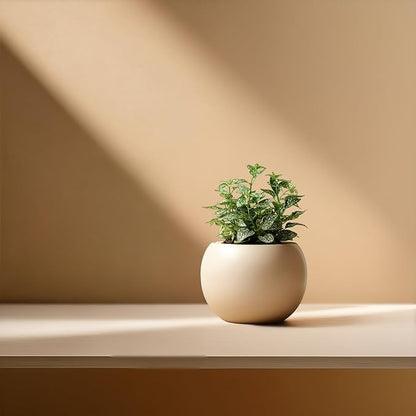 Ceramic Self Watering Plant Pot | 6.8 Inch Pot with 4.5 Inch Opening for Plant | Ivory Pot for Indoor Plants | Round Self Watering Planter | Bottom Watering Pots for Indoor Plants