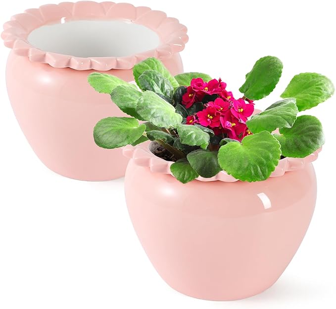 2pcs 6.5inch Design Self Watering Pot for Indoor Plants Pink Indoor Plants Herbaceous Plants Flowers White Terracotta Pots African Violet Pot for Plant Enthusiasts Orchid Planter