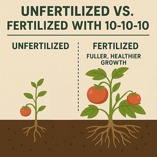 10-10-10 General All Purpose Fertilizer for Flowers and Vegetable Beds - Raised Garden Beds - Safe for Fruits, Lawns, Grass - Promotes Soil Heath and Growth (10 Pounds)