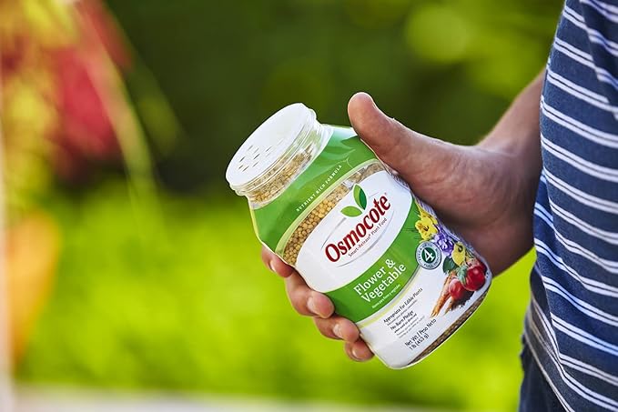 Osmocote Smart-Release Plant Food Flower & Vegetable, Plant Fertilizer, 1 lb. (12-Pack)