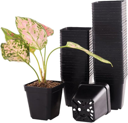 100 Packs Square Nursery Pots for Plants 2.2 Inch Succulent Plant Pots Set Plastic Seedling Starting Pots with Drainage Holes Nursery Pots Variety Pack Flower pots Planter Seed Starter, Black