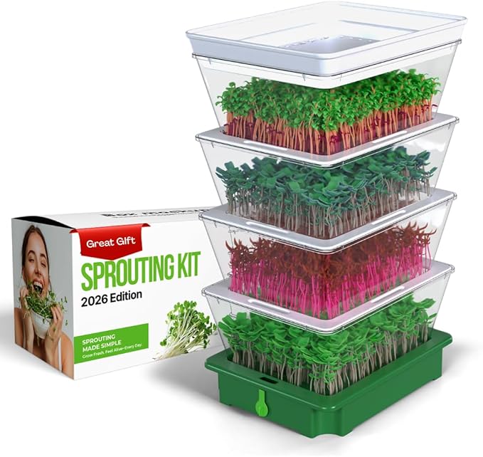 4-Tier Stackable Sprouting Kit with Sink Drain Spout & Ventilated Trays – Modular Seed Sprouter & Microgreens Germination System for Growing Broccoli, Alfalfa & Bean Sprouts.