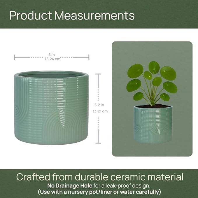 6 Inch Ceramic Plant Pot – Indoor & Outdoor Flower Planter for Succulents, Herbs & Small Plants – Thick-Walled Modern Design – Sage Green