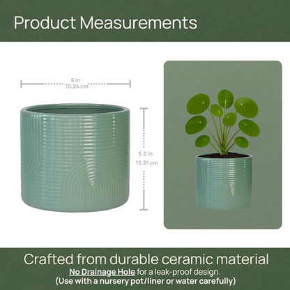 6 Inch Ceramic Plant Pot – Indoor & Outdoor Flower Planter for Succulents, Herbs & Small Plants – Thick-Walled Modern Design – Sage Green