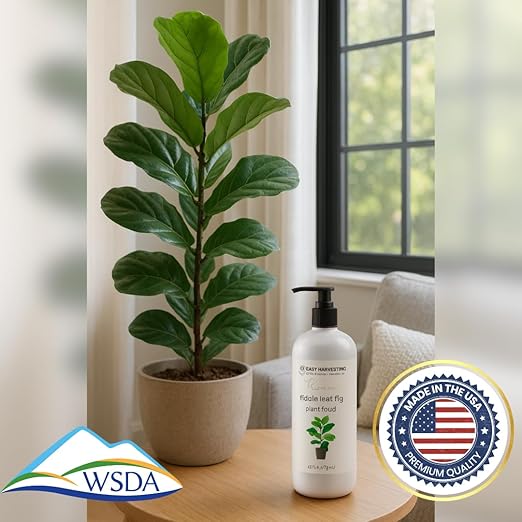 Fiddle Leaf Fig Fertilizer by Easy Harvesting – Premium 3-1-2 Liquid Plant Food | One Bottle Makes 118 Gallons | Pet Safe, Gentle Formula for Indoor Houseplants (16oz Pump Bottle)