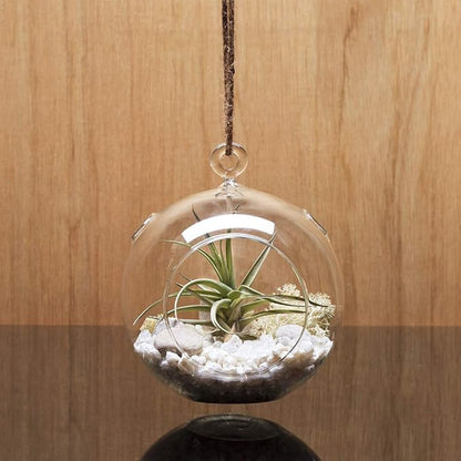 WGV Hanging Terrarium Globe, Width 4", Height 4.75", DIY Air Succulent Planter, Clear Glass Vase Orb with Flat Bottom, Candle Holder for Windowsill Outdoor Garden Decor, 3 Pieces Bulk