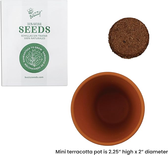 BUZZY Seeds Terracotta Mini Grow Pots – Herb Flower Plant Starter Kit Assorted 20-Pack with Lavender Seeds, Indoor Grow Your Own Gardening Gift for DIY Projects and Party Favors