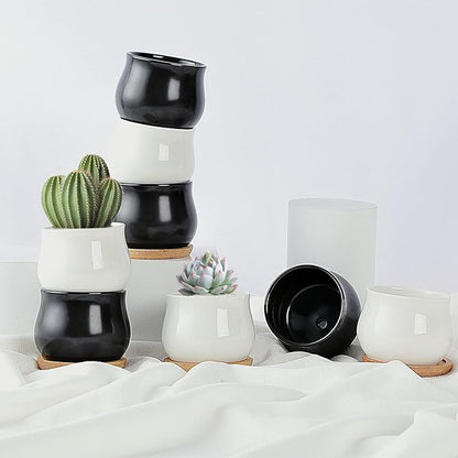 2 Pack Succulent Pots, 2.5 Inch Mini Ceramic Pots for Flower or Cactus Plants with Drainage Hole,Plants Not Included (Black)