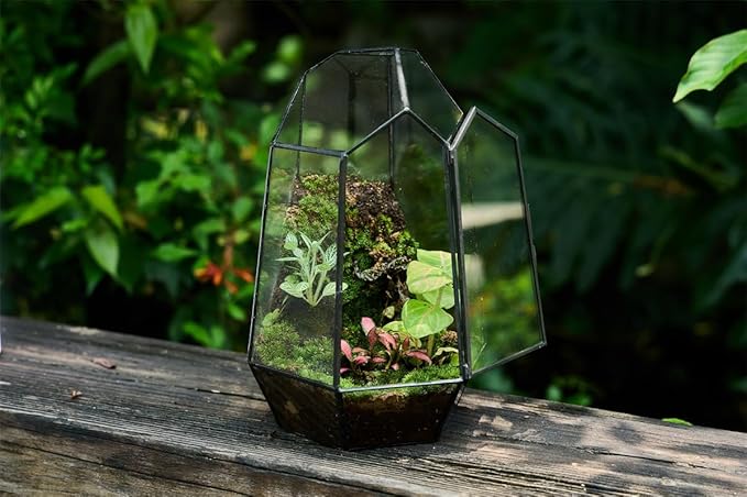 FISCRAT Metal Geometric Glass Planter | 7.9 * 6.9 * 9.8inch Rust-Proof Indoor/Outdoor Planter for Succulents, Air Plants | Space-Saving Vertical Design,a for Apartment Living and Plant Lovers