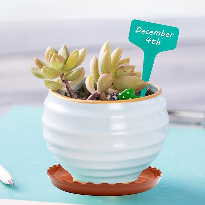 12 Pack White Plant Trays 3 Sizes Plastic Round Wave Plant Saucer Flower Plant Pot Saucer Terracotta Drip Trays for Indoor Outdoor Flower Pots and Planters, with 20pcs Green Plant Labels
