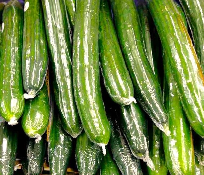 TomorrowSeeds - English Telegraph Improved Burpless Cucumber (English Cucumber) Seeds - 90+ Count - for 2026 Planting Hothouse Cucumbers Crisp European Near-Seedless Long Heirloom Vegetable