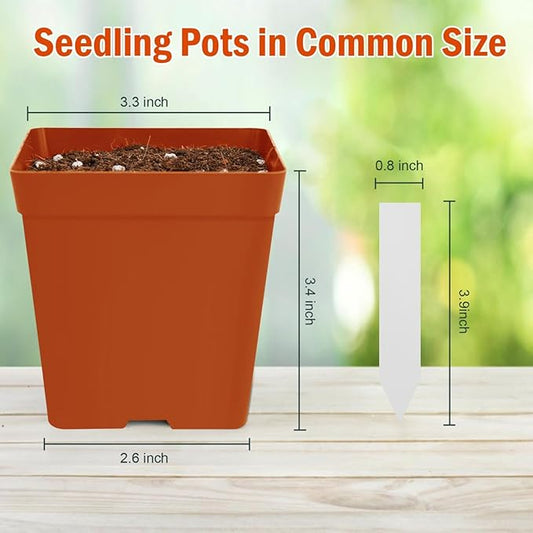 June Fox 100 Pack Red Square Nursery Pots with Drainage Holes 3.3 Inches Flexible Plastic Seedling Pots Square Pots for Plants, Succulent, Flower, with Plant Labels