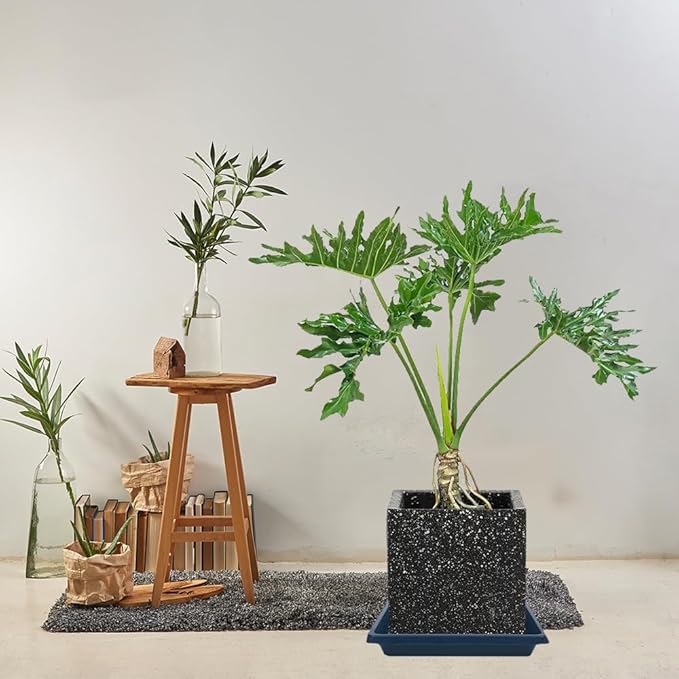 Square Plant Saucer 10 Inch 2 Pack, Plant Drip Trays and Flower Pot Saucers，Doubles Plant Water Catcher Tray, Plant Trays for Indoors No Holes, Plant Drainage Tray Saucers for Potted Plants