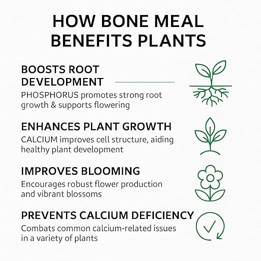 𝐁𝐄𝐒𝐓𝐒𝐄𝐋𝐋𝐄𝐑 Organic Bone Meal Fertilizer by Gardenera (4-12-0 NPK) All-Natural Plant Food Source of Nitrogen and Phosphorus for Bulbs, Gardens, Potted Plants, Trees, and Shrubs - 3 QUARTS