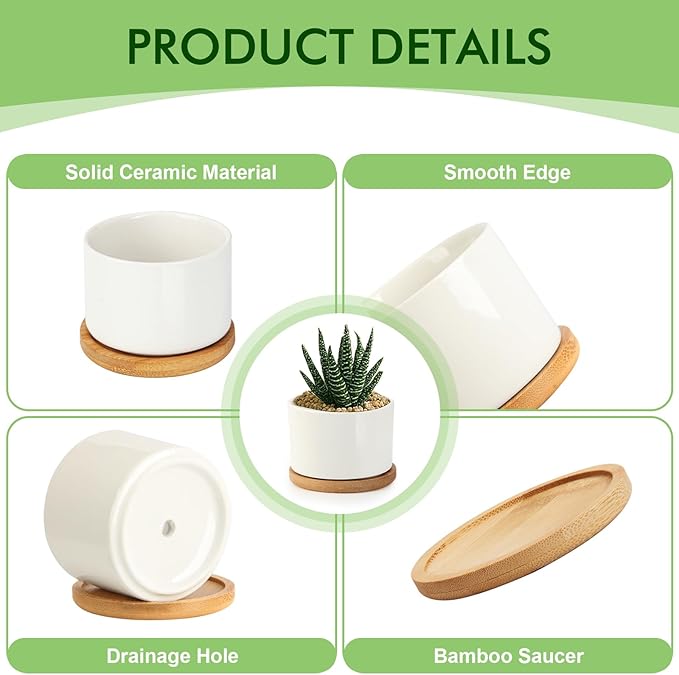 ZOUTOG Succulent Pots 3.15 Inch,4 Pack Succulent Planters,Small Pots for Plants with Drainage and Tray,White Ceramic Flower Planters for Indoor Plants,Home,Office,Desk