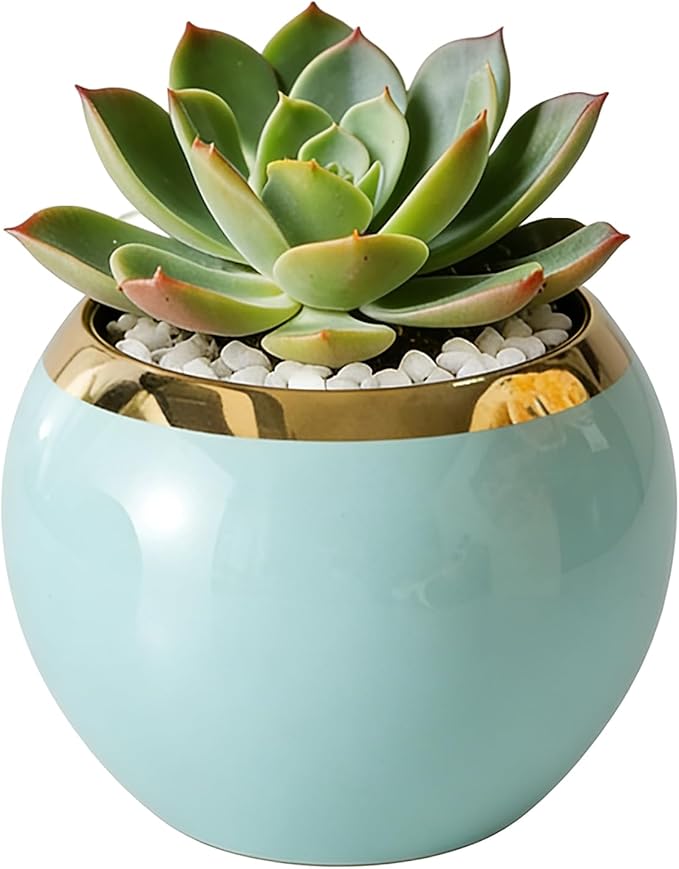 Blue Gold Spherical Ceramic Plant Pots Succulent Small Plant Pot Indoor Modern Decorative Indoor-Outdoor Garden Plant Pots with Drainage Holes - Plants Not Included 3.94 x 3.94 x 3.15 Inch