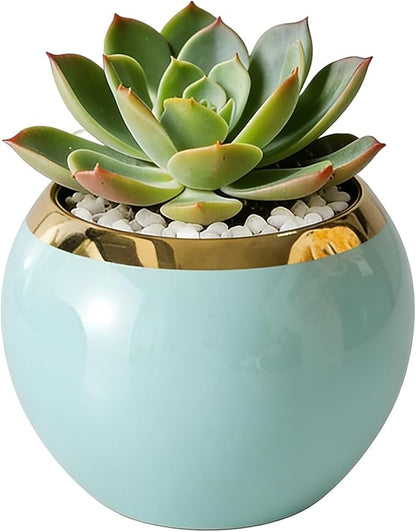 Blue Gold Spherical Ceramic Plant Pots Succulent Small Plant Pot Indoor Modern Decorative Indoor-Outdoor Garden Plant Pots with Drainage Holes - Plants Not Included 3.94 x 3.94 x 3.15 Inch